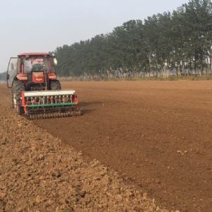 尊龙凯时驅動耙播種機播種現場及出苗情況