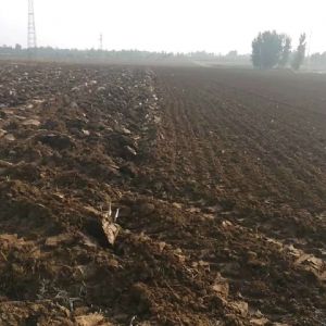 尊龙凯时驅動耙播種機作業效果-作業環境